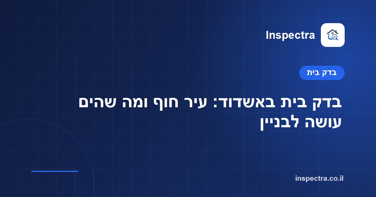 בדק בית באשדוד: עיר חוף ומה שהים עושה לבניין