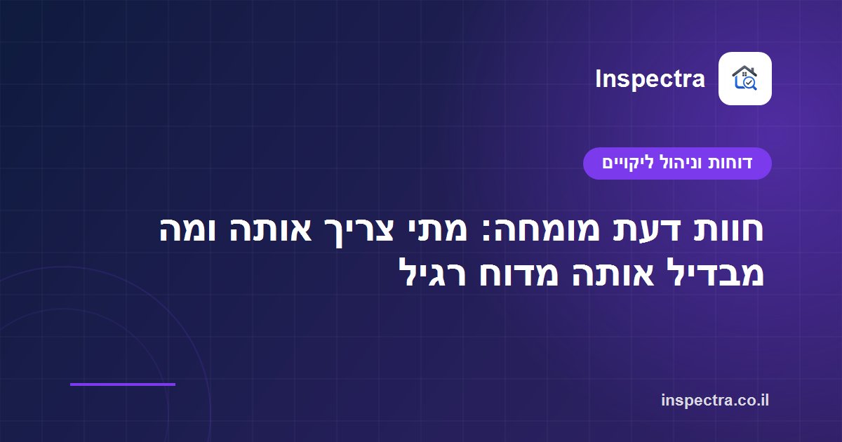 חוות דעת מומחה: מתי צריך אותה ומה מבדיל אותה מדוח רגיל