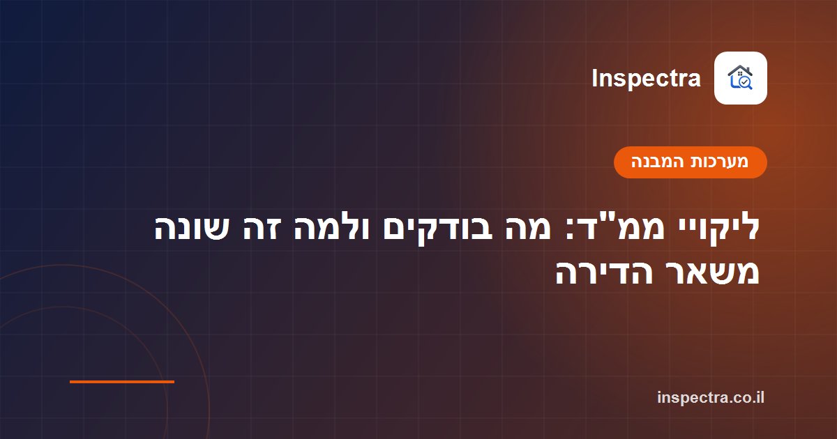 ליקויי ממ
