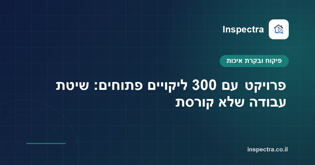 פרויקט עם 300 ליקויים פתוחים: שיטת עבודה שלא קורסת