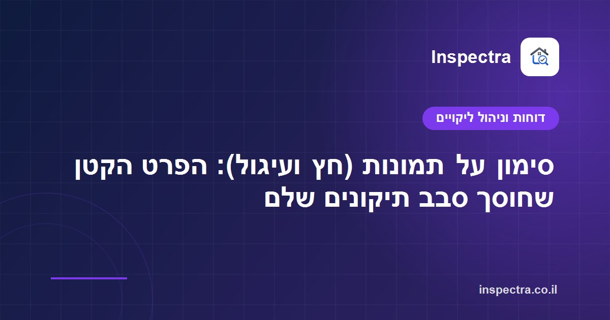 סימון על תמונות (חץ ועיגול): הפרט הקטן שחוסך סבב תיקונים שלם