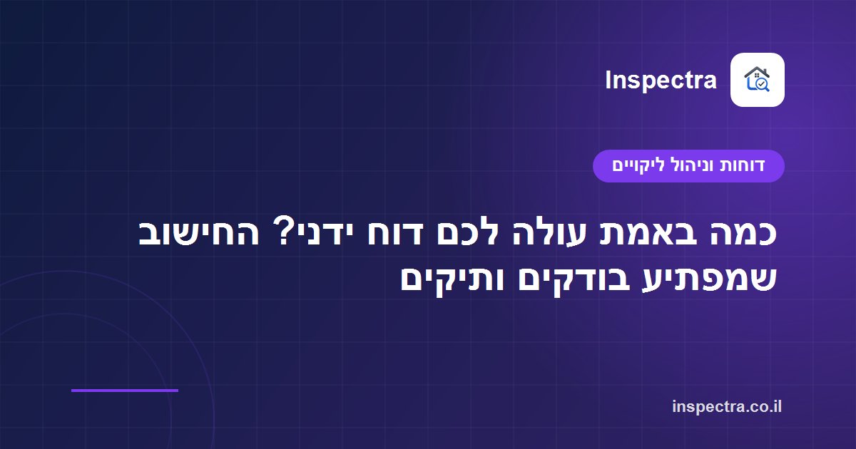 כמה באמת עולה לכם דוח ידני? החישוב שמפתיע בודקים ותיקים