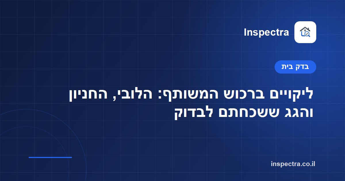 ליקויים ברכוש המשותף: הלובי, החניון והגג ששכחתם לבדוק