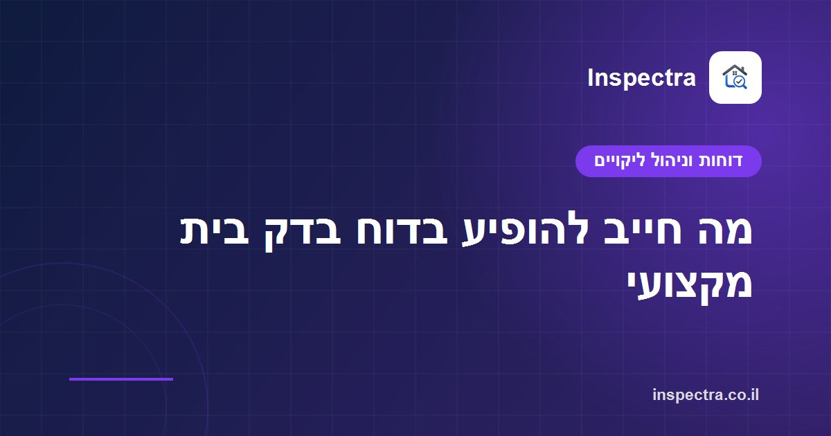 מה חייב להופיע בדוח בדק בית מקצועי